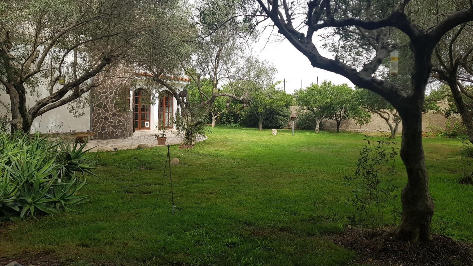 Apartament Il Giardino Di Frafa Quartu SantʼElena Zewnętrze zdjęcie